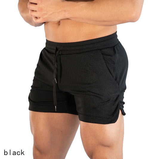 Quick Dry Training Shorts